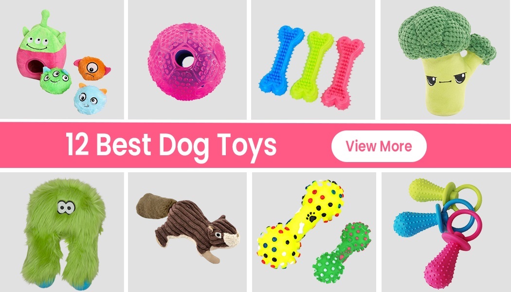 10 Cool Dog Toys For Making Your Dogs Active And Healthy
